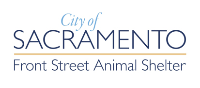 City Animal Control